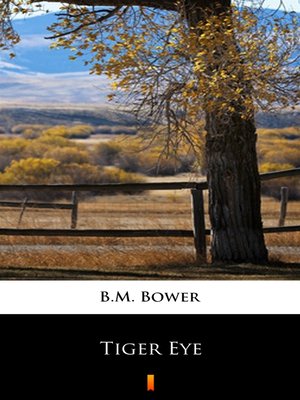 cover image of Tiger Eye